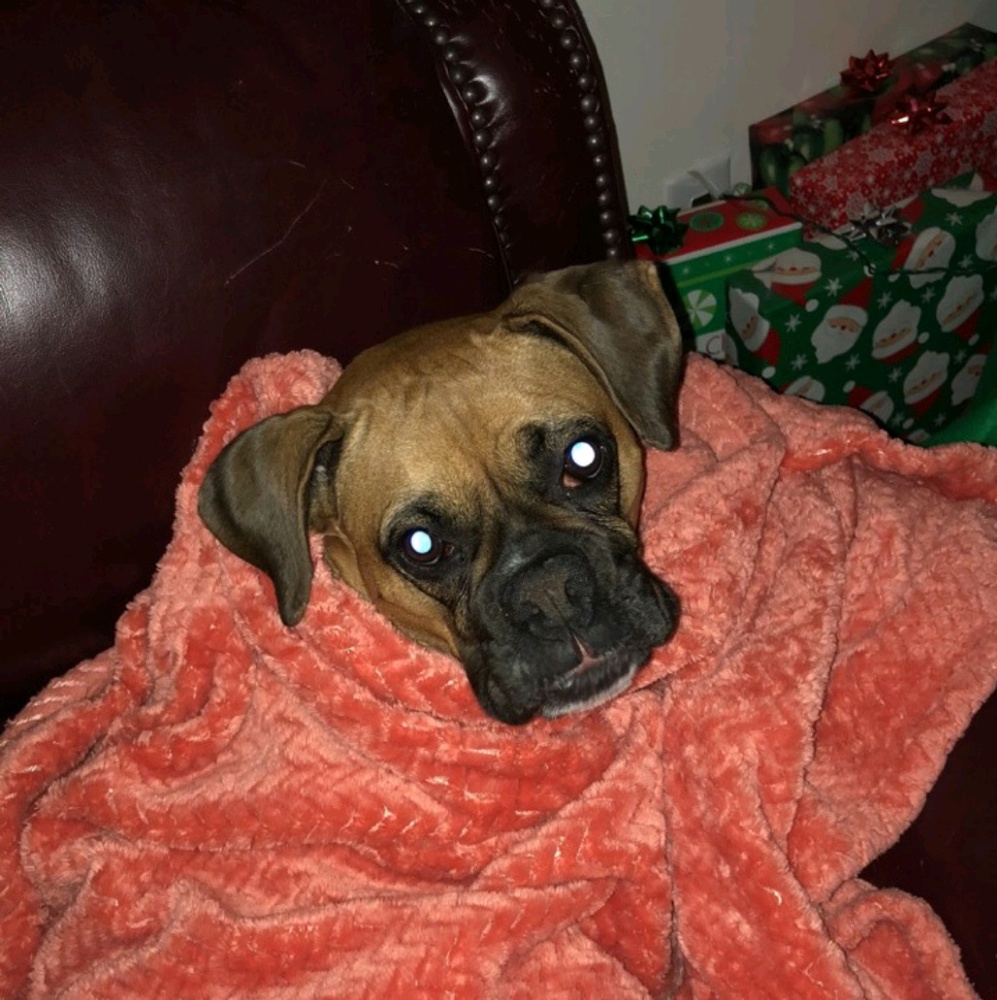 Meet your Posher, Helen